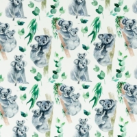 Jersey | Nora | Koala | Eukalyptus weiß